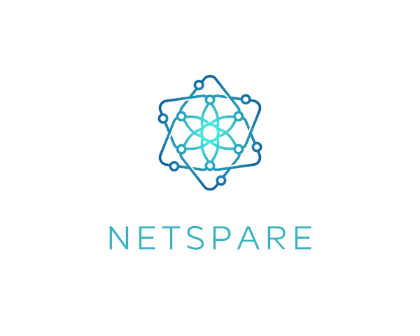 Netspare Logo